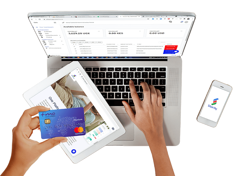 silicon-pay-online